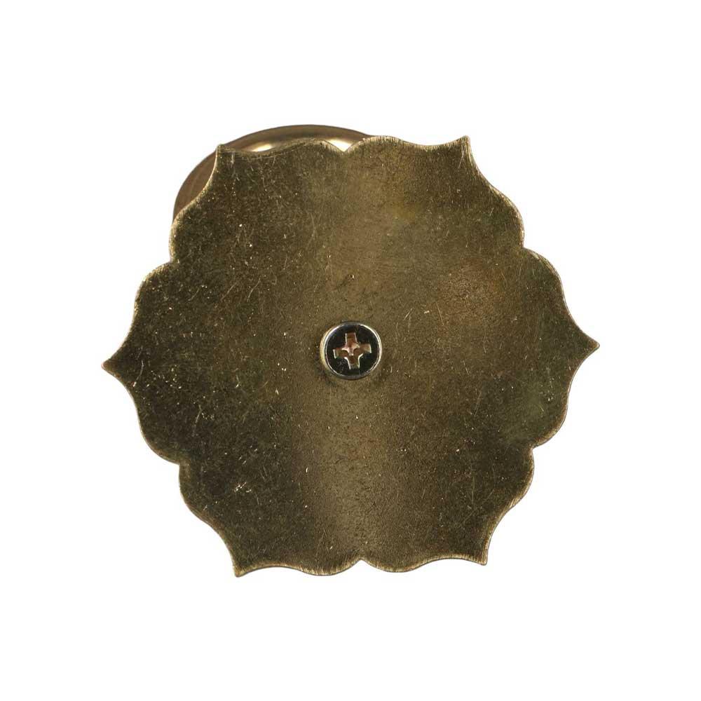 Bronze Brass Dresser Pulls Han - Furniture Hardware Drop Pulls recensione e prezzo