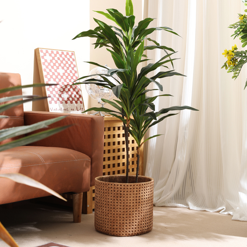Furniture for small-sized apar - Furniture Paradise & Hardware Ghaziabad Reviews recensione e prezzo